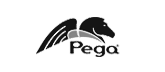 Pega